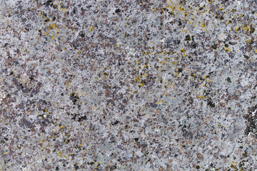 The wall is covered with multi-colored lichen. Colors - gray, brown, yellow, black.