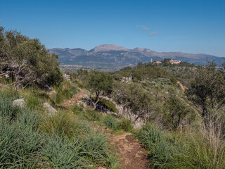 Surroundings of the Ermita Santa Magdalena, a landmark near the City of Inca on the balearic island of  Mallorca, Spain