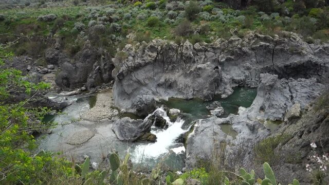 nature landscape of Sicily water flowing on volcanic rock pan and zoom on cactus prickly pear and tree spurge along the watercourse of Simeto river