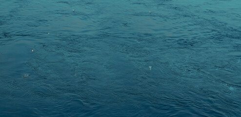 blue sea with flying seagulls