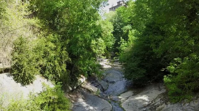 Aerial: Wet Rocks Amidst Green Plants On Sunny Day