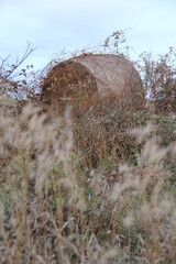 hay bale in tall grass