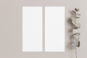 Two menu cards mockup with an eucalyptus deocoration, 4x9 ratio.