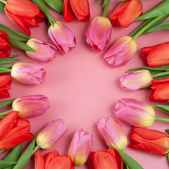tulips arranged in a circle on a pink background