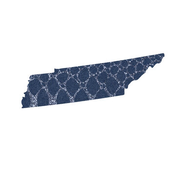 Political divisions of the US. Patriotic denim clip art with snake glitter print. State Tennessee