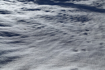 Frozen snow illuminated by sunlight, Italy