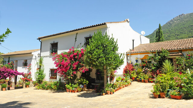 Casa con buganvilla en Benamahoma, Pueblos Blancos de la Sierra de C&aacute;diz, Espa&ntilde;a