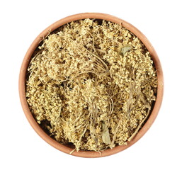 Dried and crushed elder in clay pot, elderberry plant and flowers isolated on white background, organic texture top view