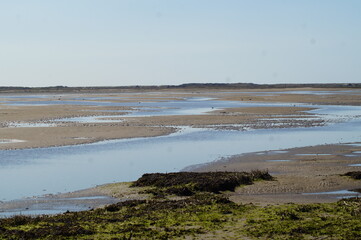 Spiekeroog Wattenmeer