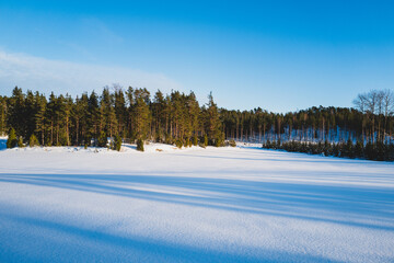 Scenic view of snow-covered field