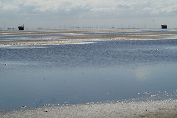 Spiekeroog Wattenmeer 