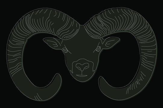 Drawing of a ram. Ram head full face. Simple linear drawing of a ram. Wild animal