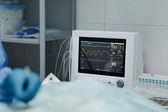 Crop anonymous veterinarian in sterile gloves operating animal near EKG test monitor in hospital