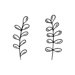 Hand-drawn plants.Doodle style, sketch,simple botanical line,drawing with floral elements,minimalism.Isolated.Vector illustration.