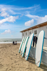Obraz premium surfboards in Al Cartello beach near Orbetello, Tuscany, Italy