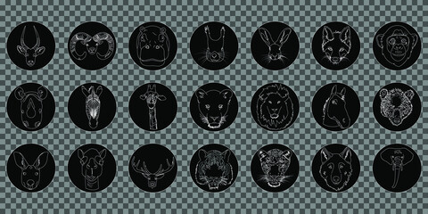 Wild animals set. Outlines of animals on a black background