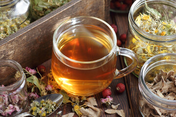 Herbal tea and jars with dry homeopathic herbs: chamomile, linden, calendula, burdock, rosehips and...