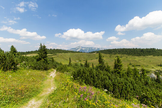 Wanderweg am Rax-Plateau