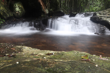 waterfall in the forest