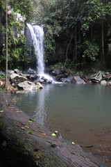 Fototapeta premium waterfall in the forest
