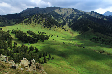 The large green grassy plateau Kok Zhailau at the foot of the mountain range in summer, a spruce forest grows on the plateau and the mountain, in the foreground a slope with stones, the sky with cloud