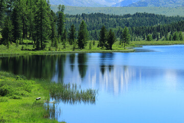 Fototapeta na wymiar Close-up surface of blue lake Kidelyu in Altai with the shore and forest, mirror of the lake with reflections of the sky and trees, grassy shore, mountains in the distance and with forest and ridge, s