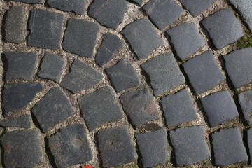 Curved Stone Pavement Texture Close Up