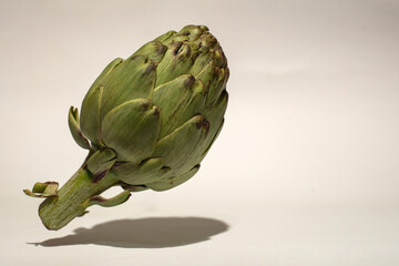 Artichoke (Cynara scolymus) with shadow isolated on white background