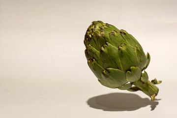 Artichoke (Cynara scolymus) with shadow isolated on white background