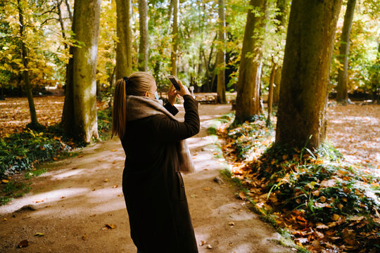 Side view of unrecognizable female standing in autumn woods and taking picture of trees on smartphone