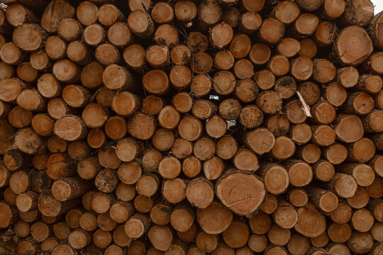 Full frame background with pile of wooden logs of different sizes stored for fuel in countryside