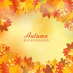 Autumn background with leaves