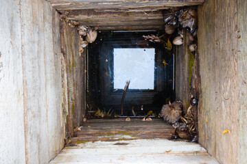 Water inside an old wooden well, Poltava region, Ukraine