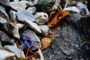 gros plan de déchets pris dans la nature