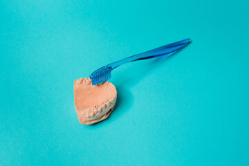 From above of upper jaw cast and plastic toothbrush with soft bristles representing dental hygiene concept