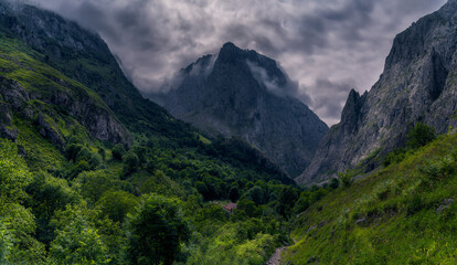 Panoramic of mountains with clouds and trees in Asturias