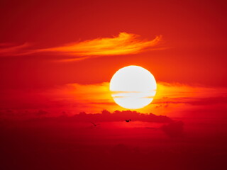 evening sunset sky with sun and clouds in red tones over the sea