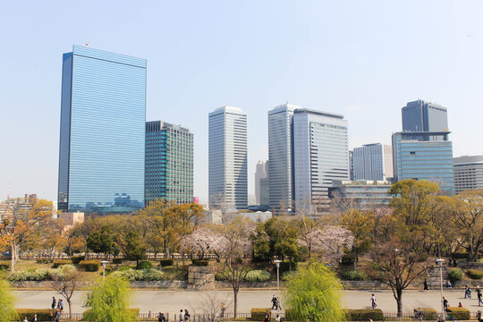 A cityscape of Osaka Business Park from Osaka Castle Park during cherry blossom season. Public park and high-rise buildings cityscape. Green environment city and downtown business district.