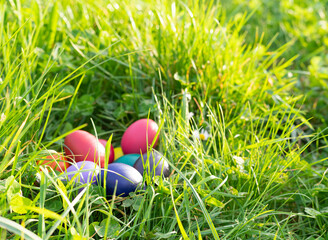 Colorful Easter eggs on grass background. Copy space.