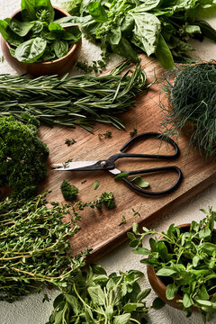 From above of assorted green herbs arranged on wooden cutting board with scissors on table