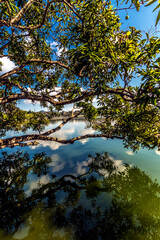 one of the seven lakes in San Pablo , Laguna, Philippines during summer season. Known as the land of the seven lakes formed by volcanic activity. its being used as a fishing farm by the locals. 