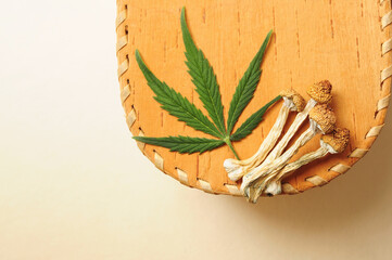 Dried psilocybe cubensis psilocybin mushrooms and cannabis leaf on wooden background, flat lay. Psychedelic experience. Natural herbal therapy. Spiritual experience.