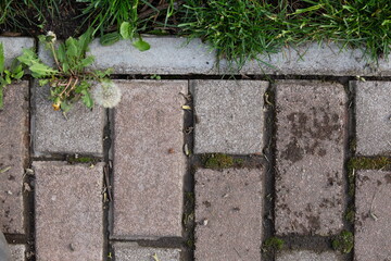 stone with grass background 
