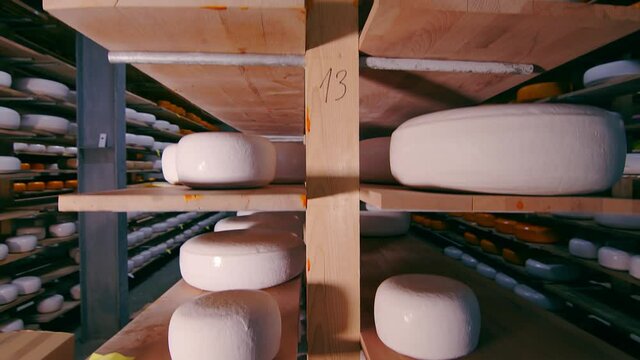 Storage of cheese of different varieties on wooden shelves in the refrigerator. Cheese on the shelves of the storage chamber.