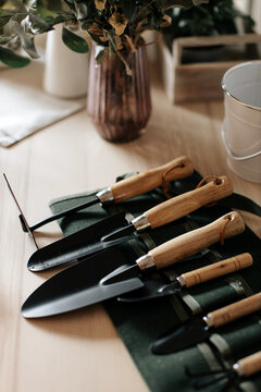 Assorted metal trowels with hoe and gardening fork near vase with plant at home