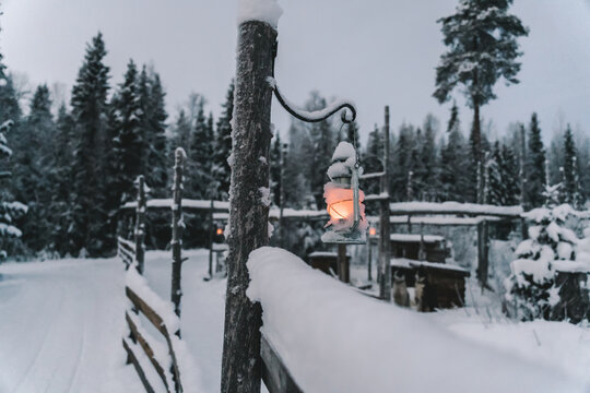 Lantern hanging on rough post near snowy pathway and high fir trees in wintertime