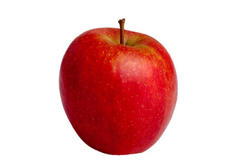 jabłko, makro, zółty, jabłek, owoc, czerwień, zieleń, lato, roślin - obrazy, fototapety, plakaty