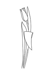 Vector illustration of a tulip. Doodle style.