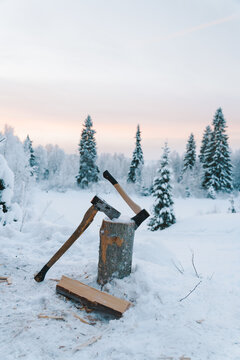 Sharp axes thrust in log placed on snowy ground near fir trees against cloudy sunset sky in winter