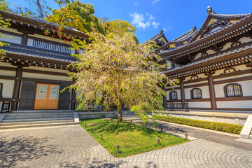 Fototapeta premium Kamakura, Japan - April 23, 2017: popular Buddhist temple and touristic attraction in Kamakura. Kannon-do or Main hall of Hase-dera Temple in Kanagawa Prefecture, Kamakura. Spring season.